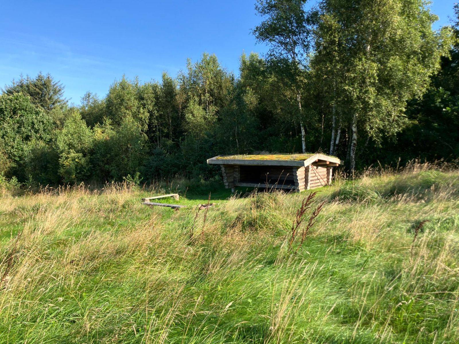 Billede af shelter Mogenstrup Strand – billede 2