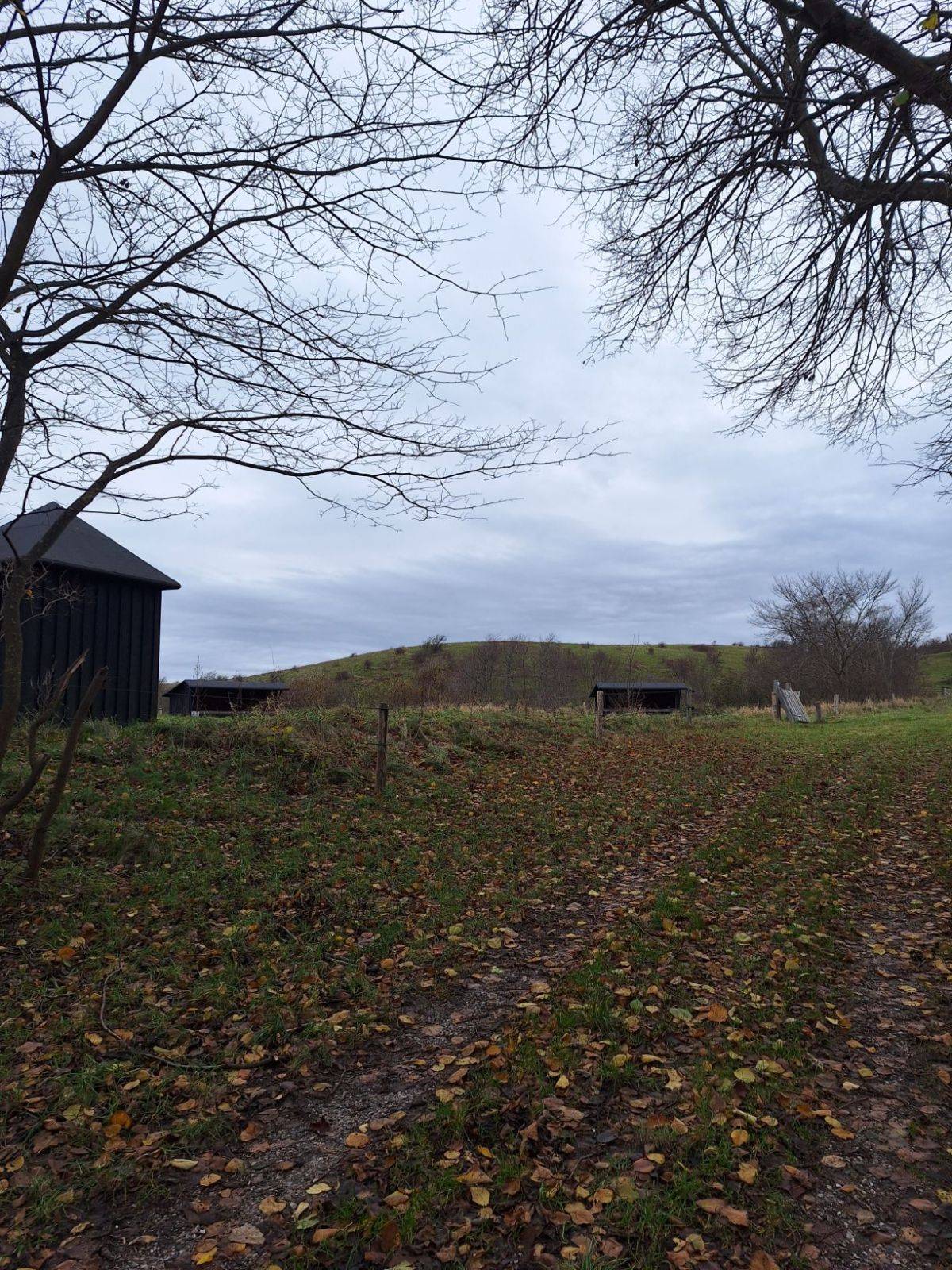 Billede af shelter Slettervang - shelter nr. 2 – billede 3