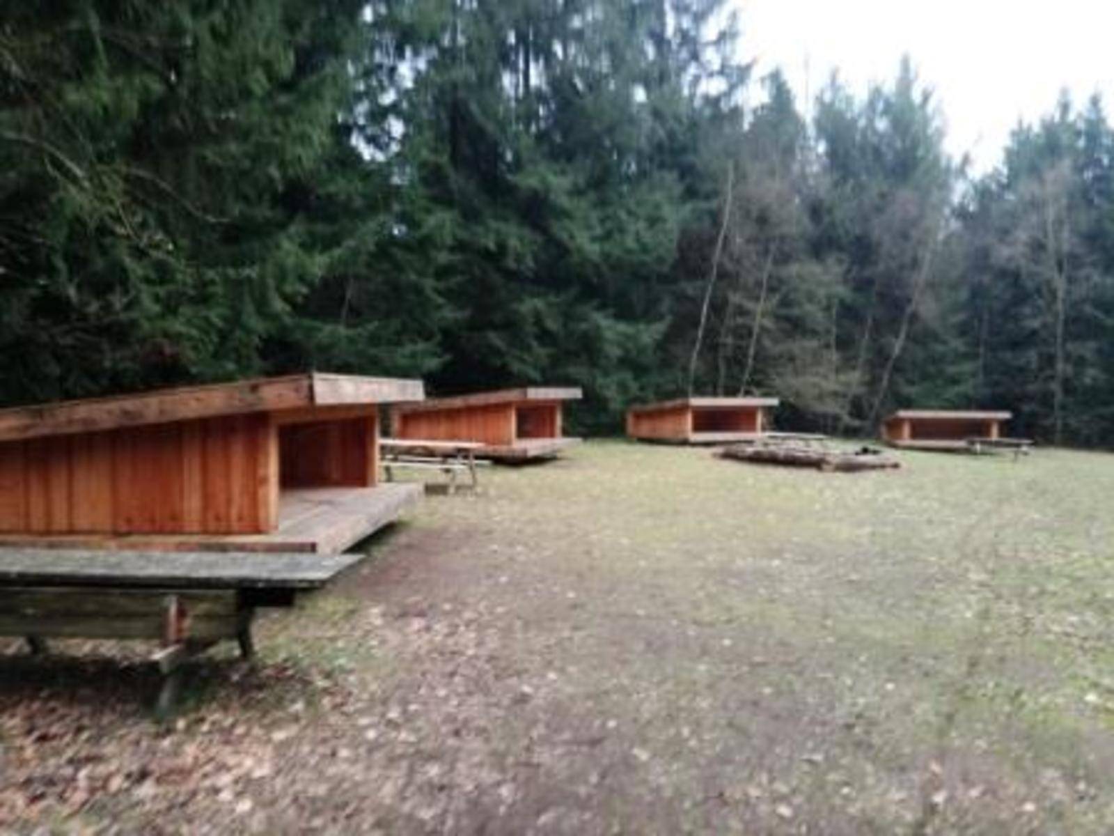 Billede af shelter Lejrplads Stendal Plantage - Shelter nr. 1 – billede 6