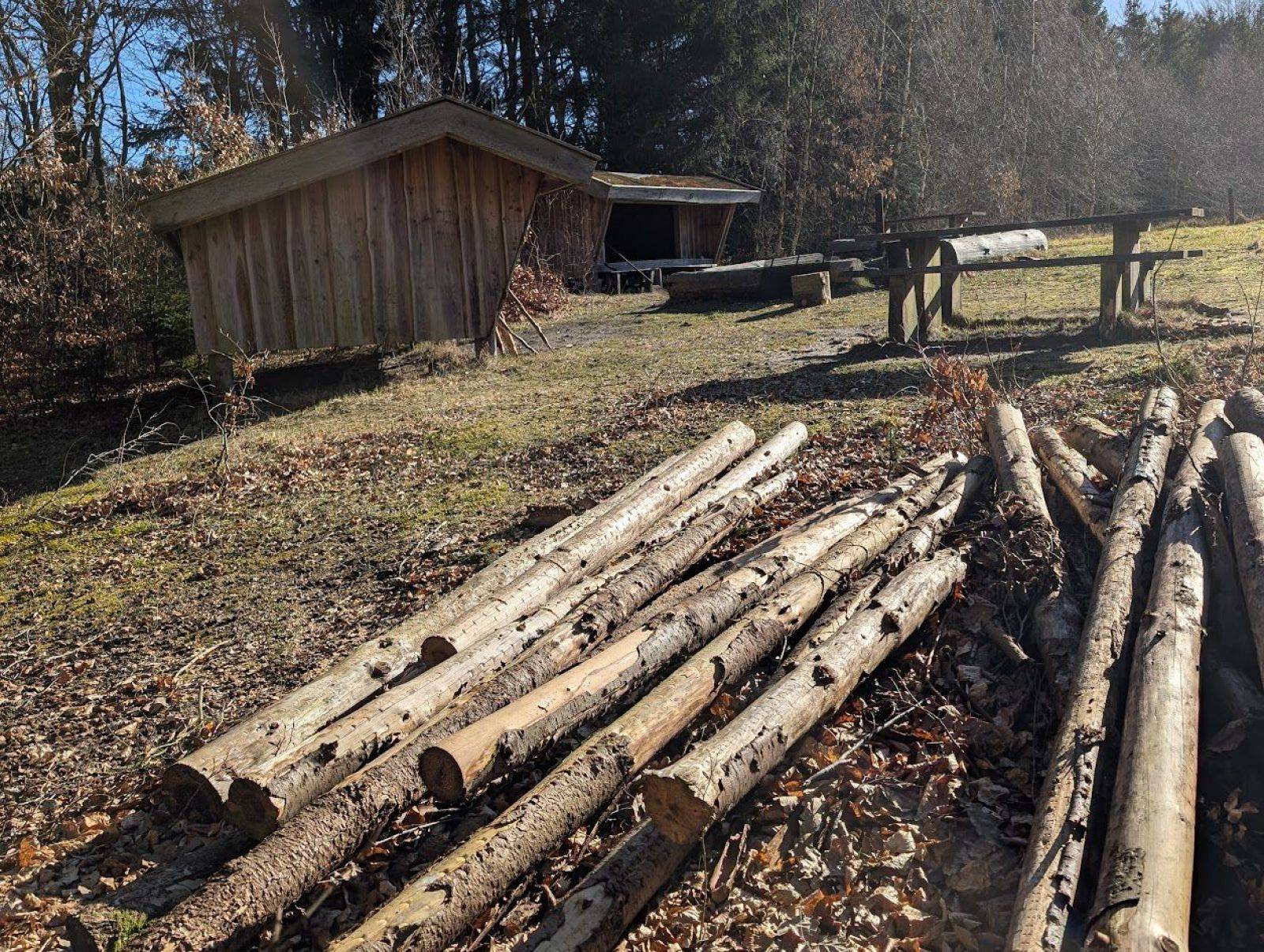 Billede af shelter Shelterpladsen ved Høgdal (shelter 1) – billede 7