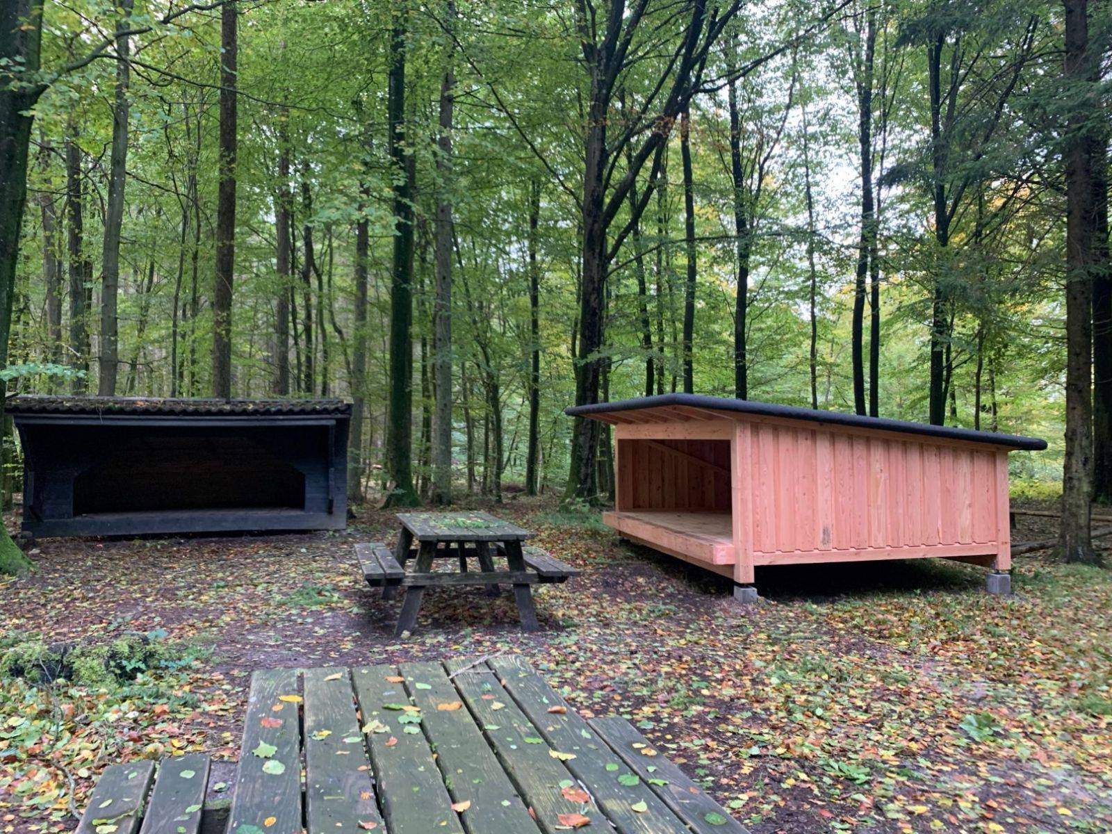 Billede af shelter Shelter i Hemstok skov