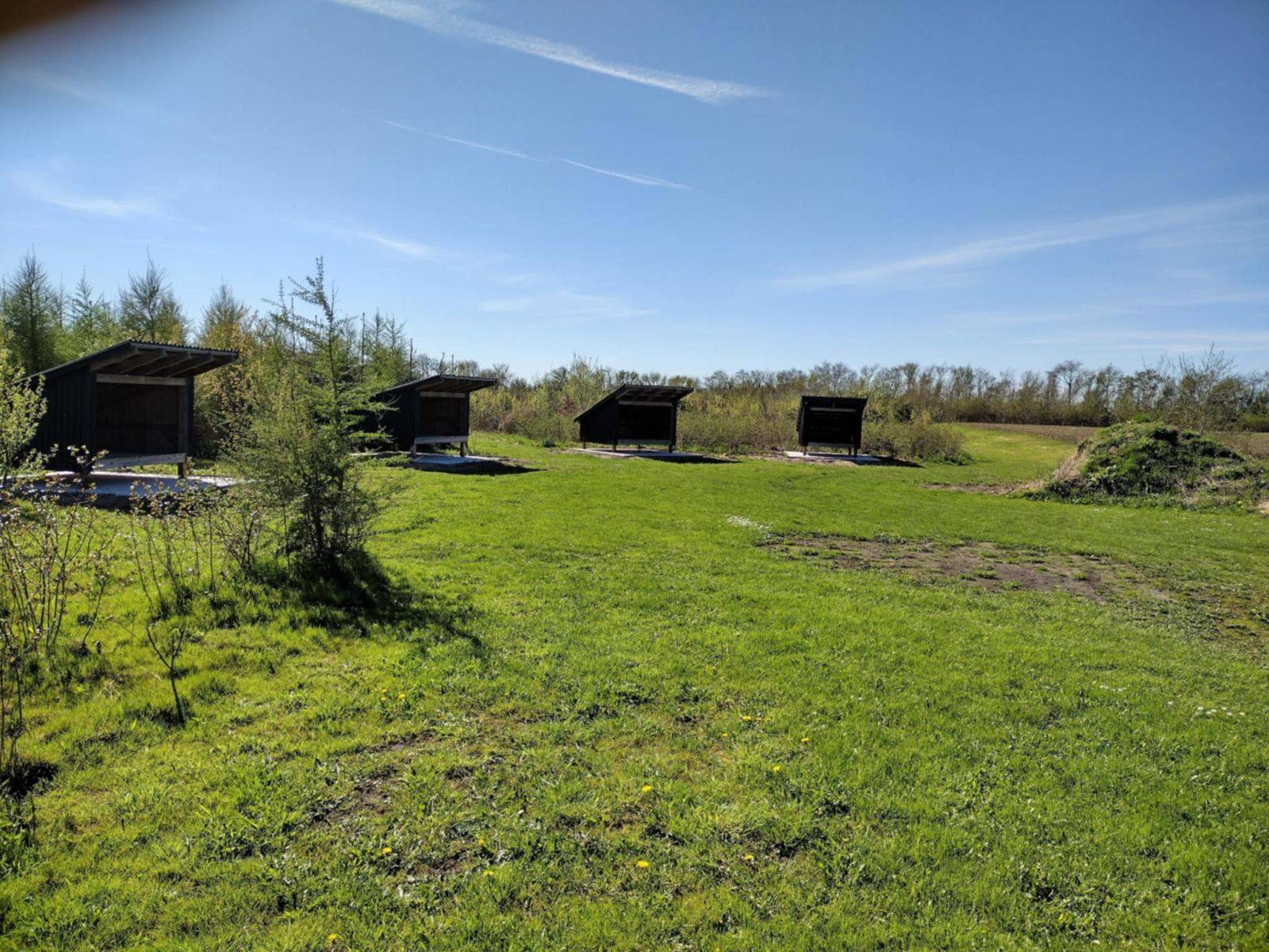 Billede af shelter Skovhytten i Stenum – billede 2