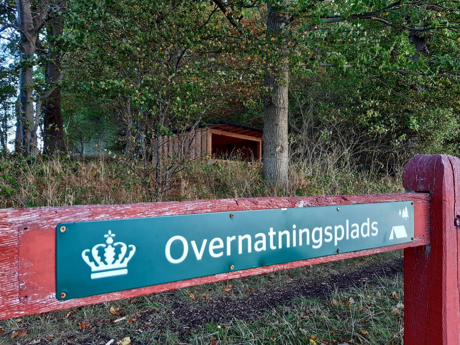 Billede af shelter Als, Augustenborg Skov – billede 2