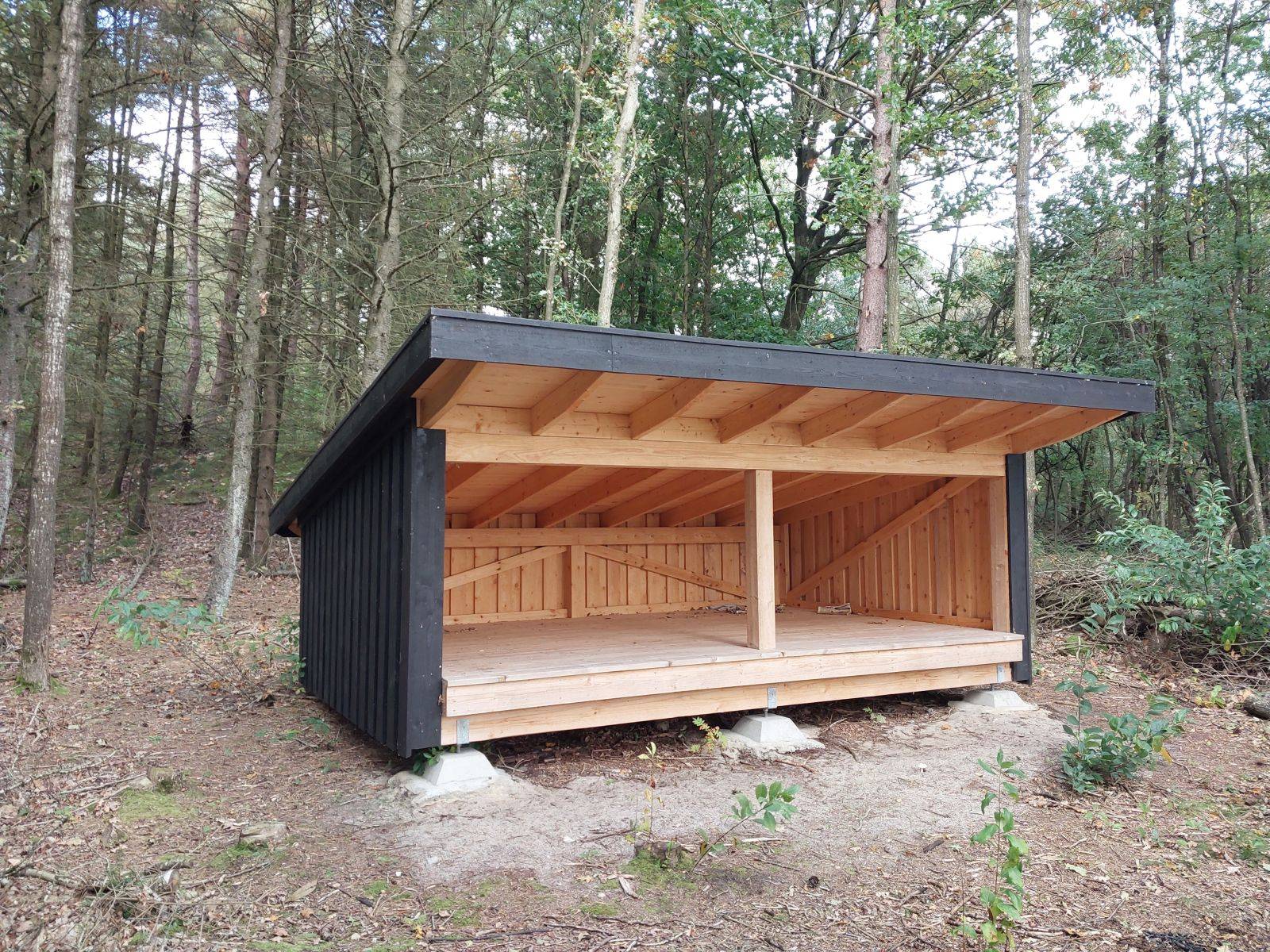 Billede af shelter Ørkenarboretet 1