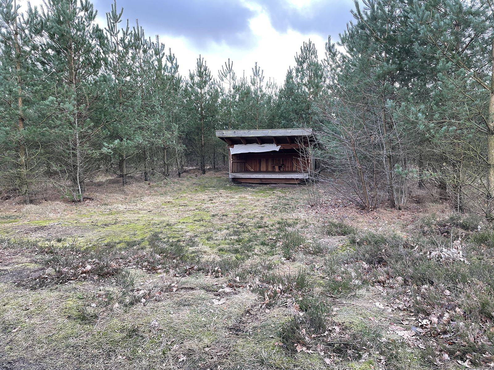 Billede af shelter Rønbjerg Plantage