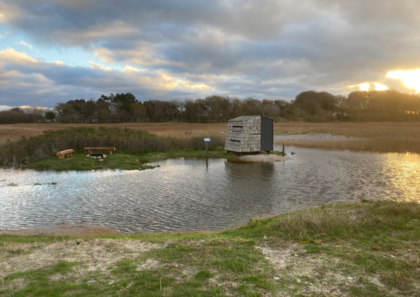 Billede af shelter Agernæs Shelterplads – billede 3