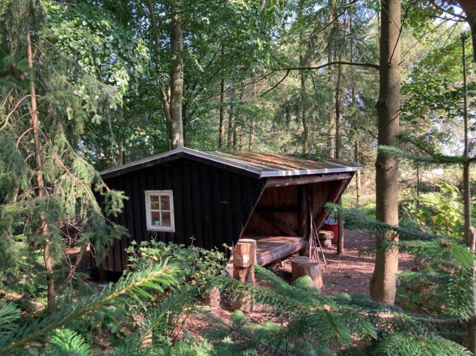 Billede af shelter Shelteren på Bjergagervej 6, Skårup – billede 3
