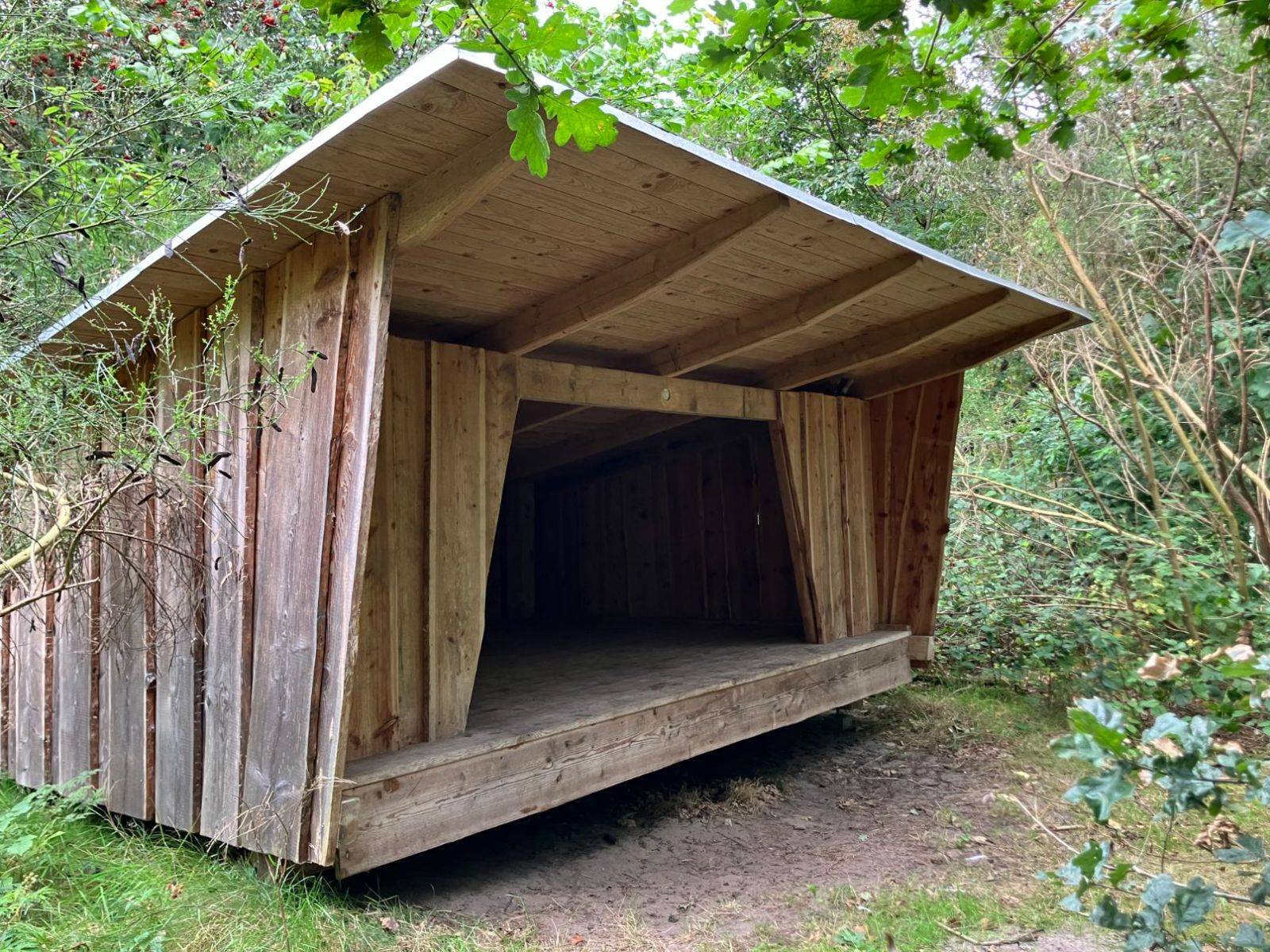 Billede af shelter Shelter ved Salling Natursti