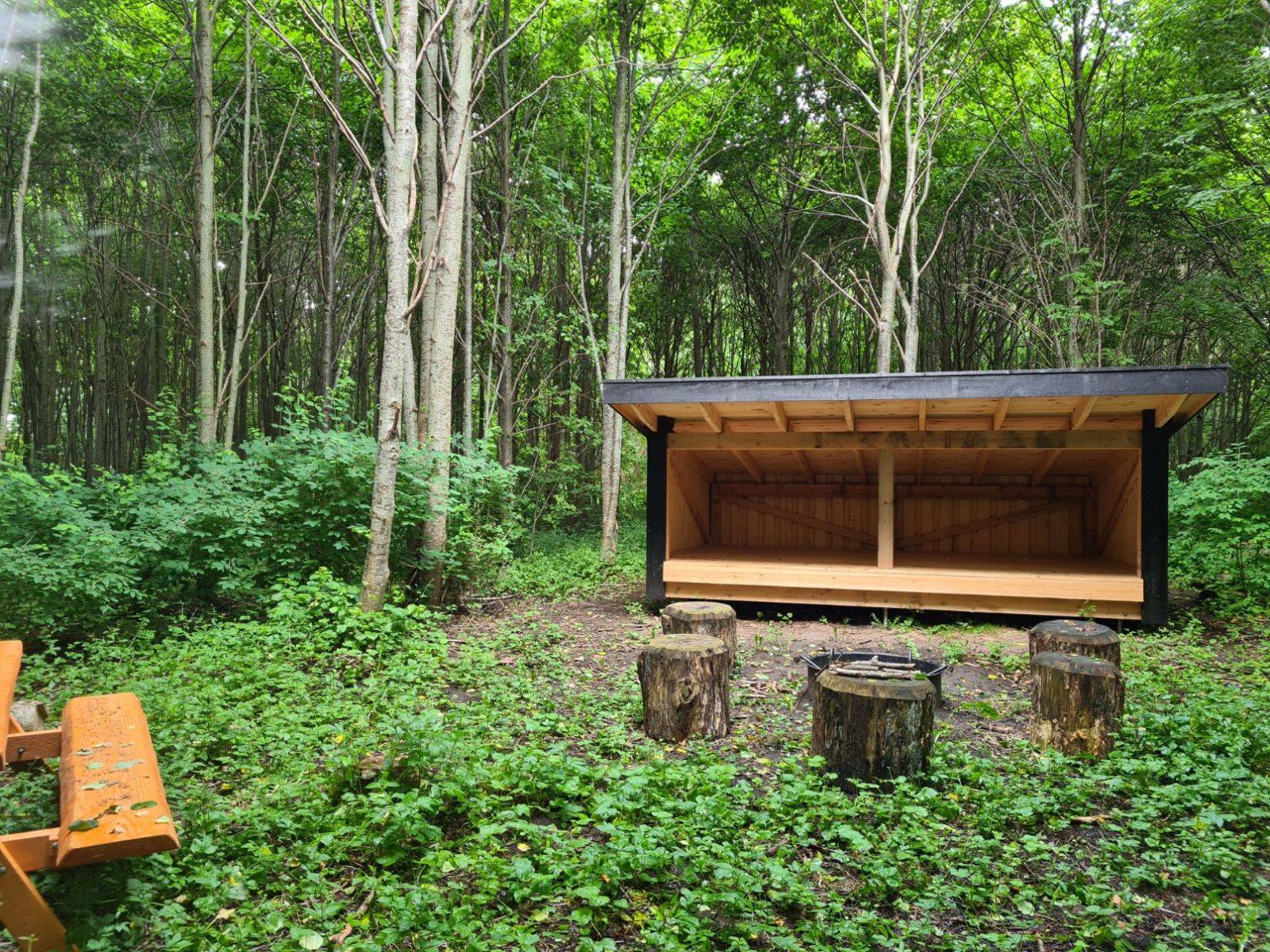 Billede af shelter Shelter i Vestermose Skov