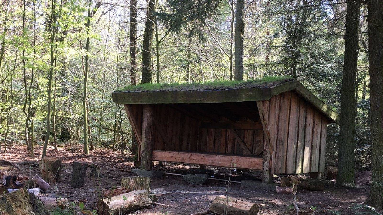 Billede af shelter Shelter ved Galsthovej