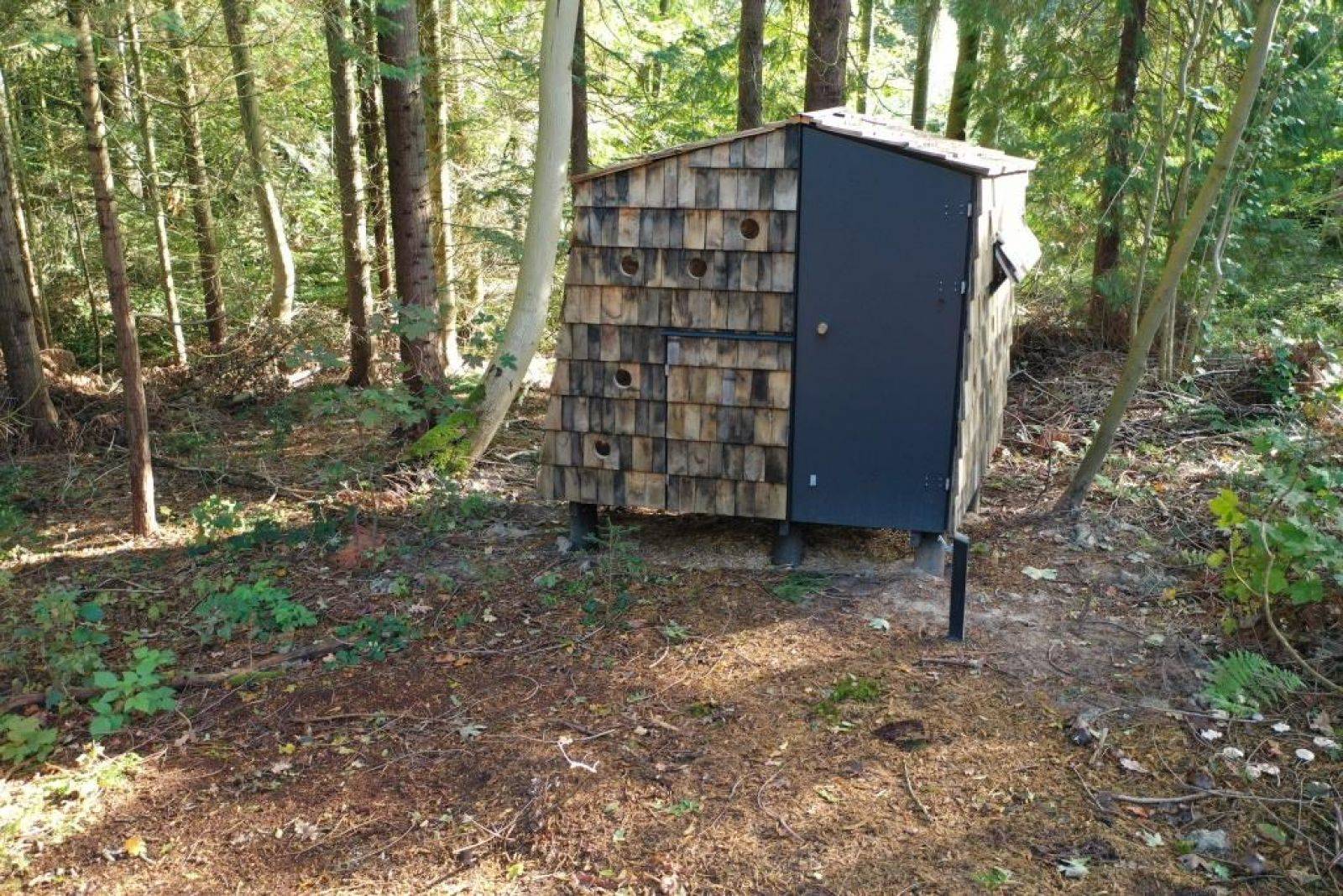 Billede af shelter Staurby Skov Shelterplads – billede 2