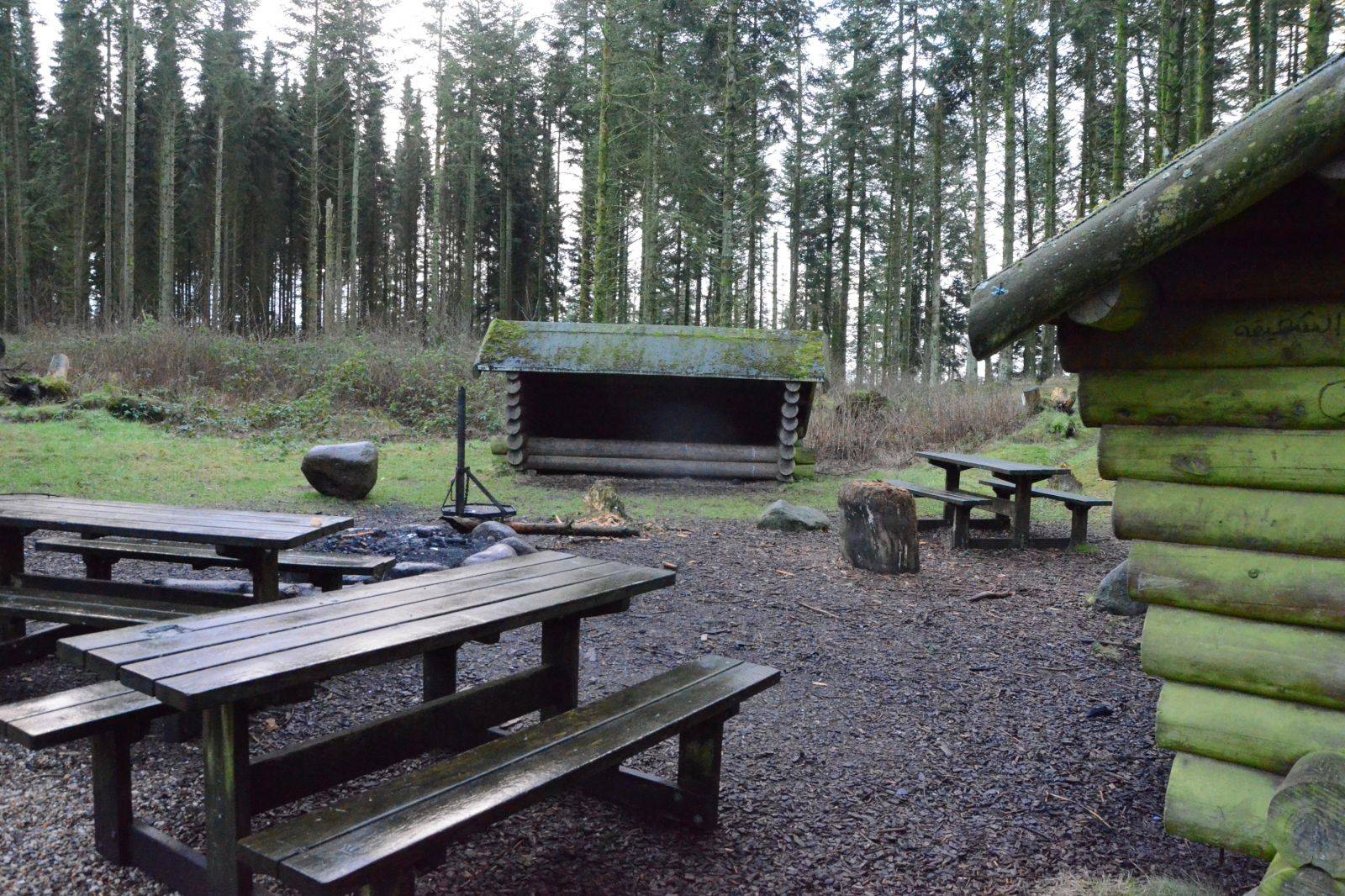 Billede af shelter Klosterheden, Hornet - Shelter 2