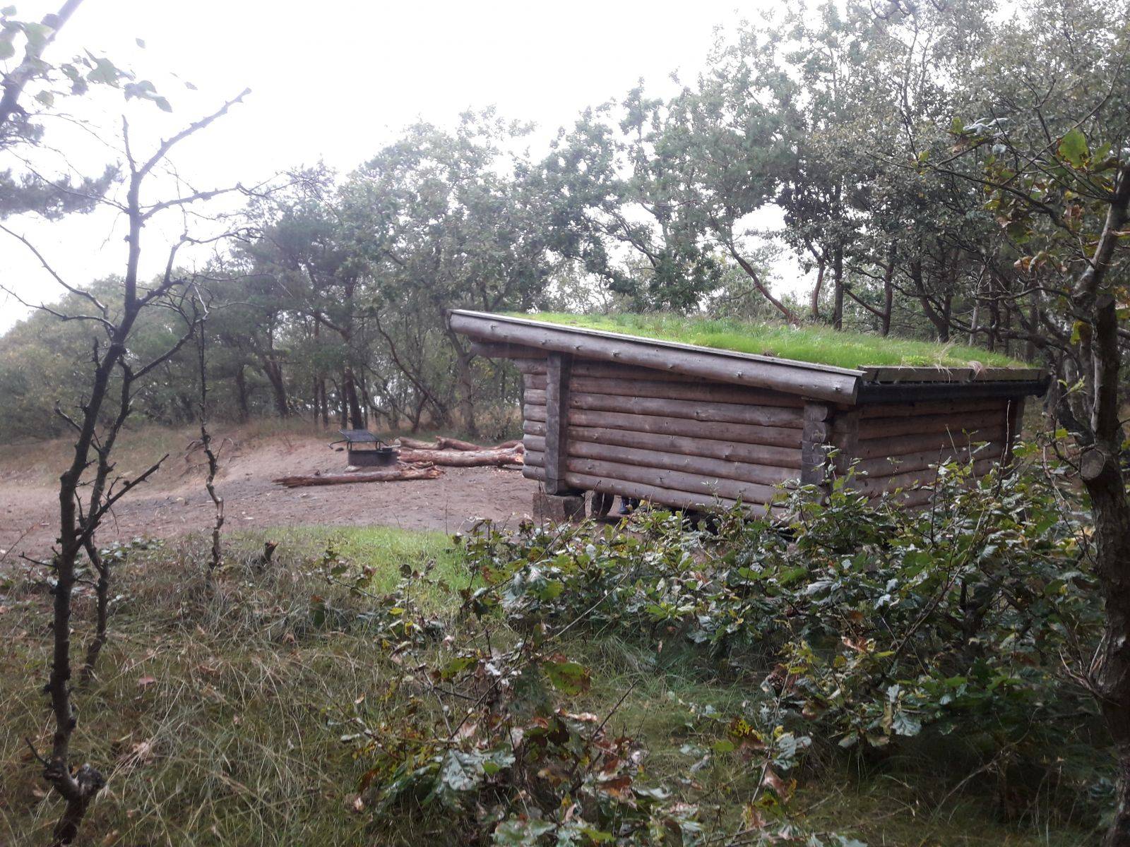 Billede af shelter Tanghytten - Shelter i Blykobbe Plantage – billede 2