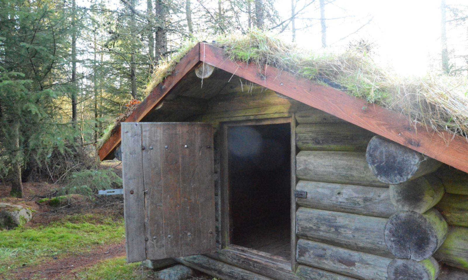 Billede af shelter Shelterplads v. Staldhøjevej - Shelter 2 – billede 3