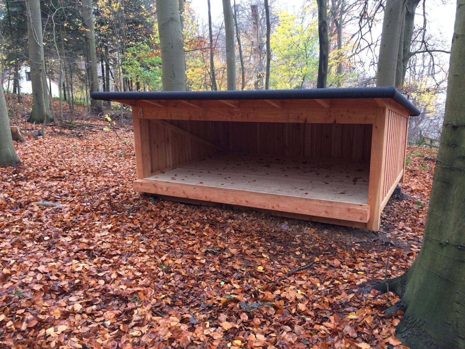 Billede af shelter Sheltet 4