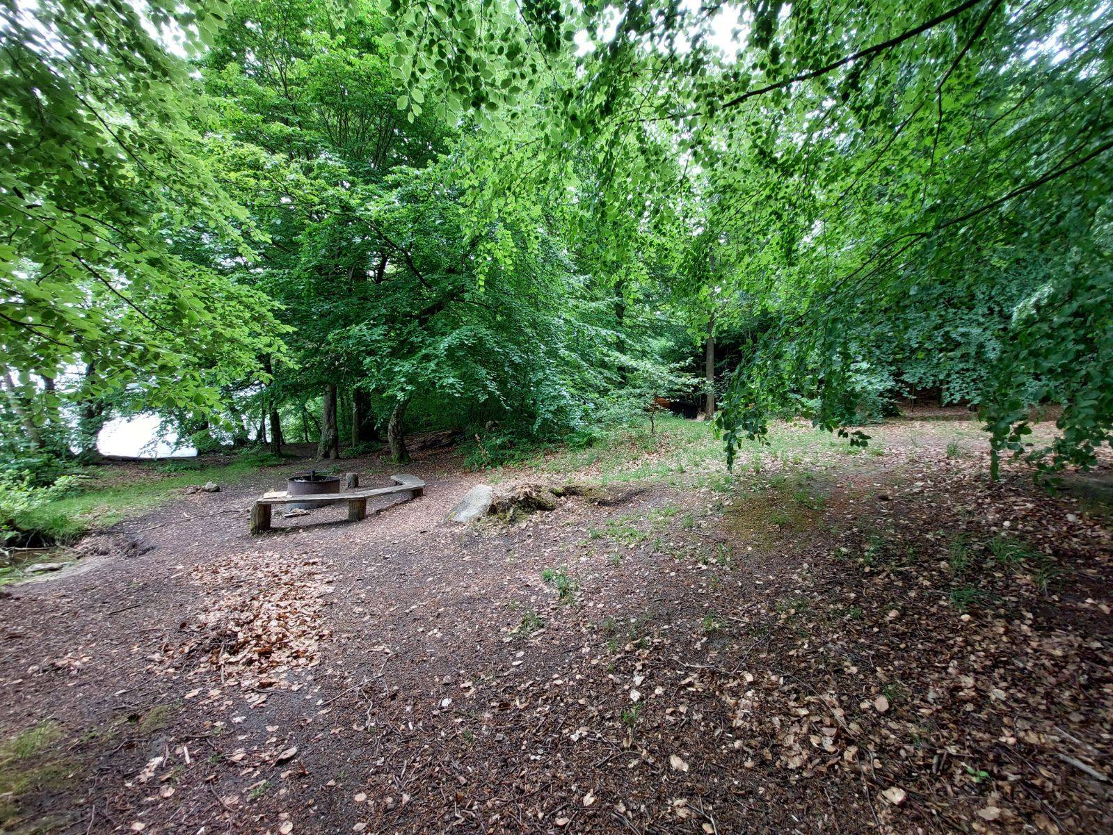 Billede af shelter Ryget Skov, shelter ved Farum sø – billede 2