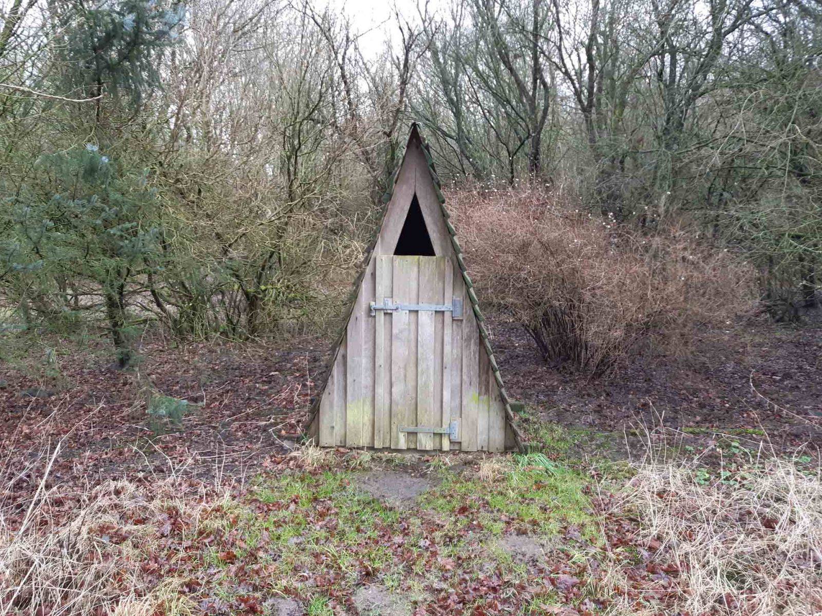Billede af shelter Havbjerg Skov, shelterplads – billede 2