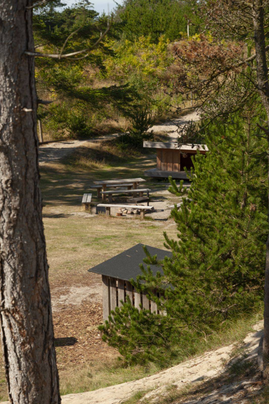 Billede af shelter Stort Shelter - Lodbjerg Fyr – billede 4