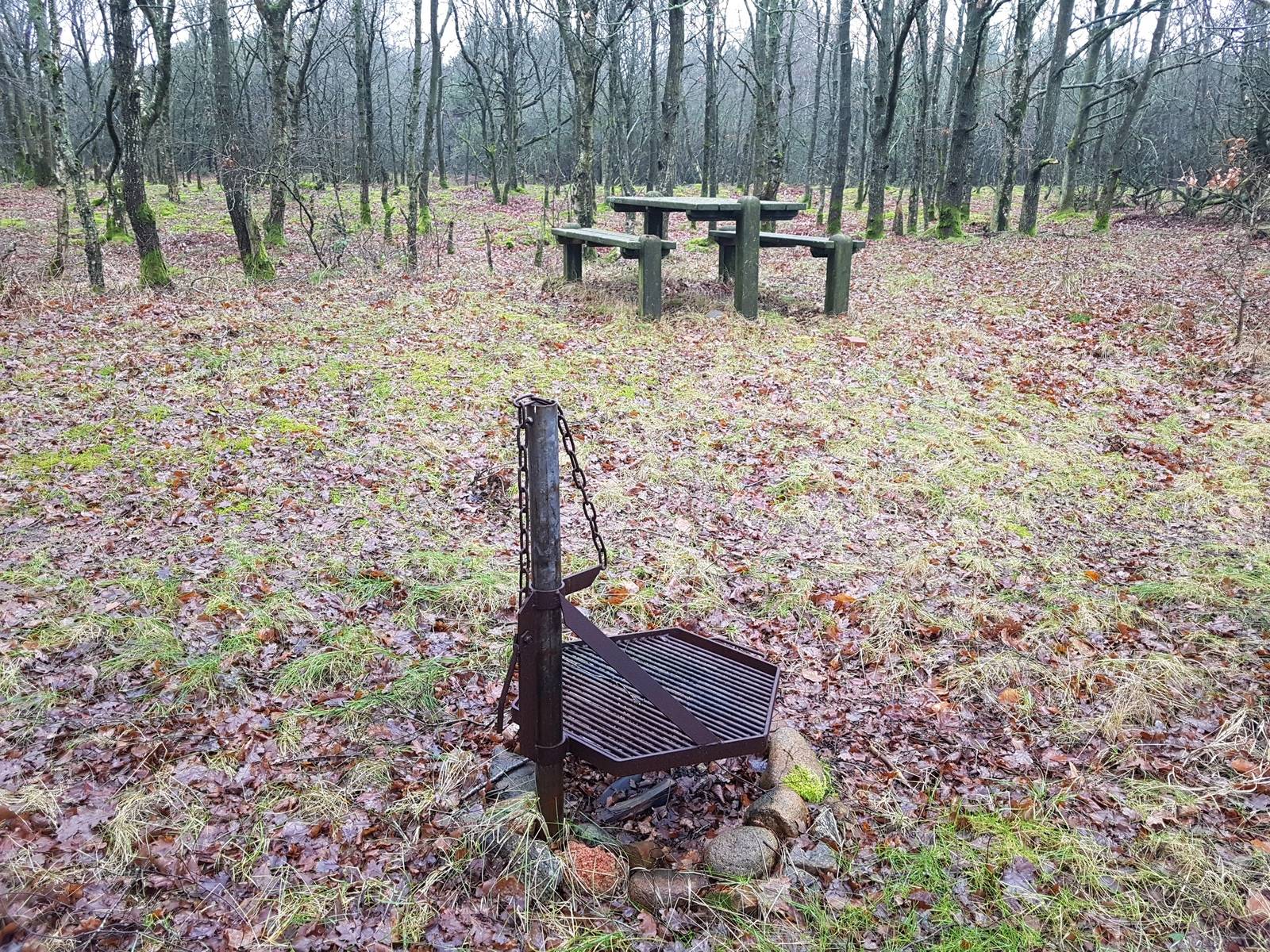Billede af shelter Harrevig, Kajaklejrplads