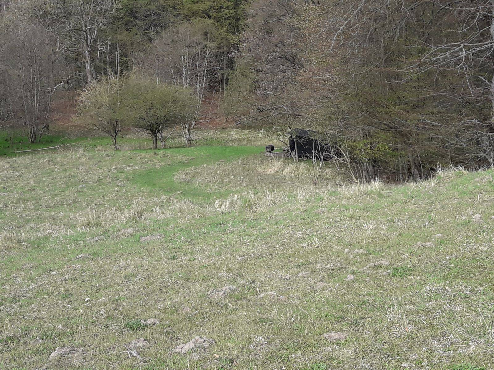 Billede af shelter Slotved Skov - shelter