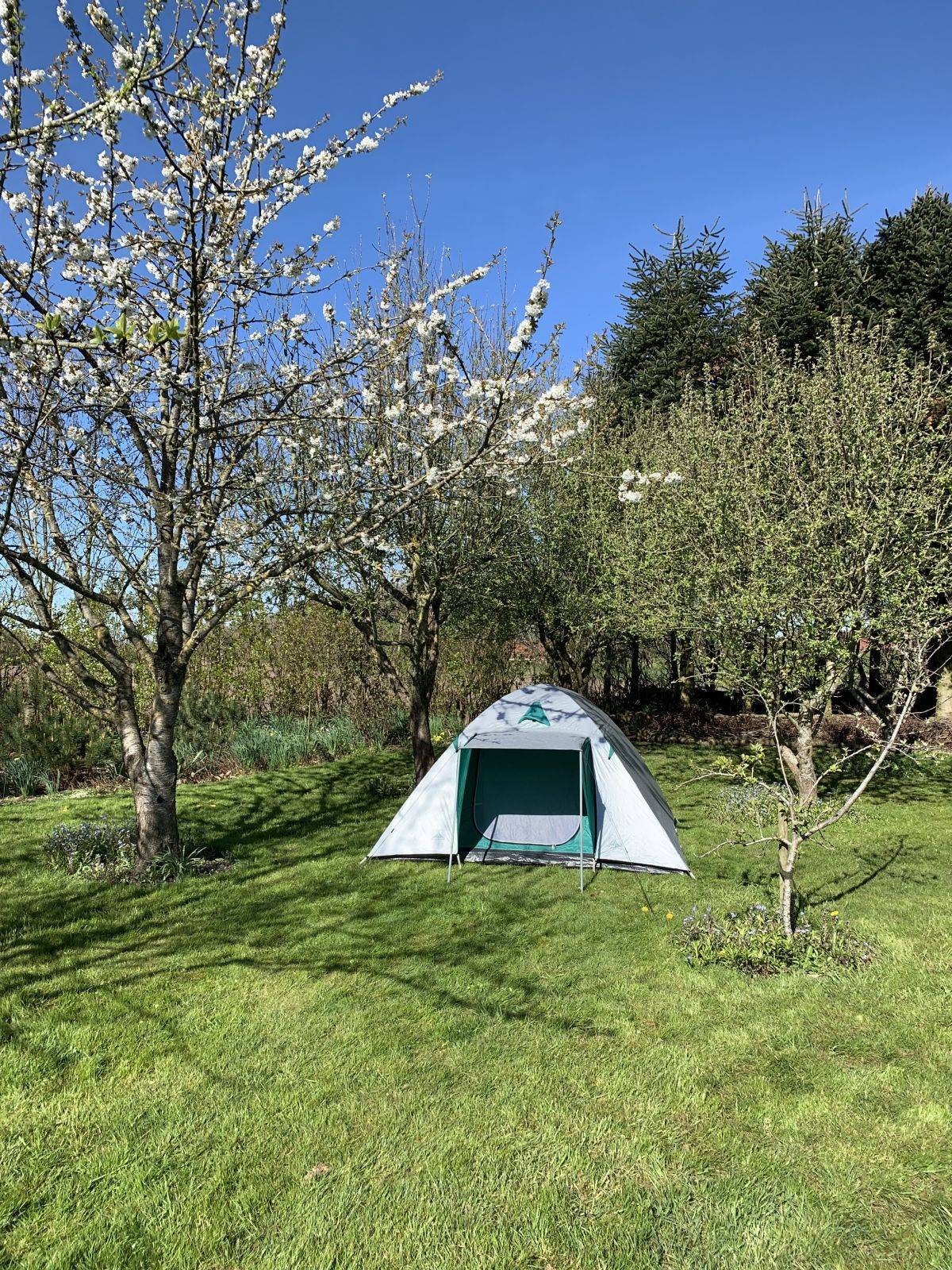 Billede af shelter Mejerivej 3, Gredsted, 6771 Gredstedbro