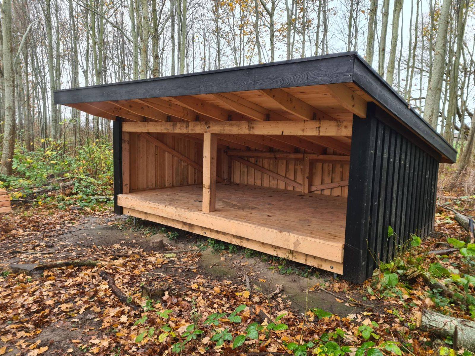 Billede af shelter Shelter i Toftegårdsskoven