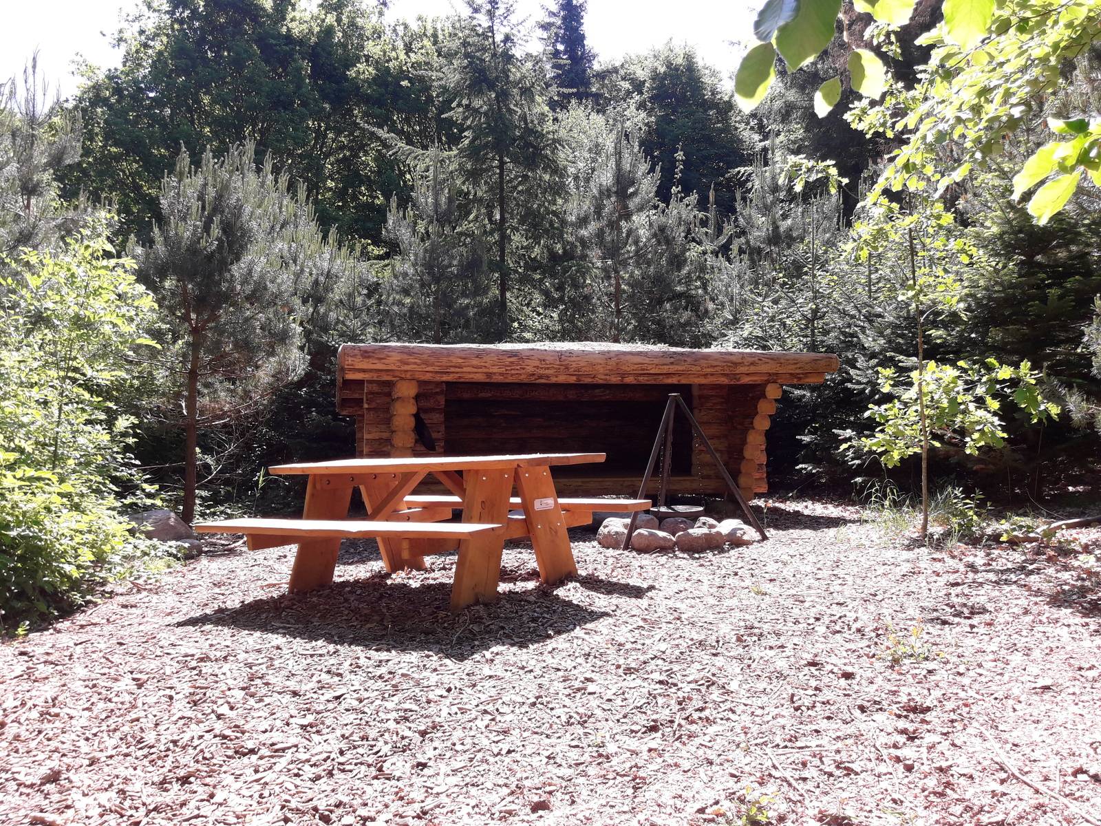 Billede af shelter Shelter i Laaddenbjerg plantage på Ærø