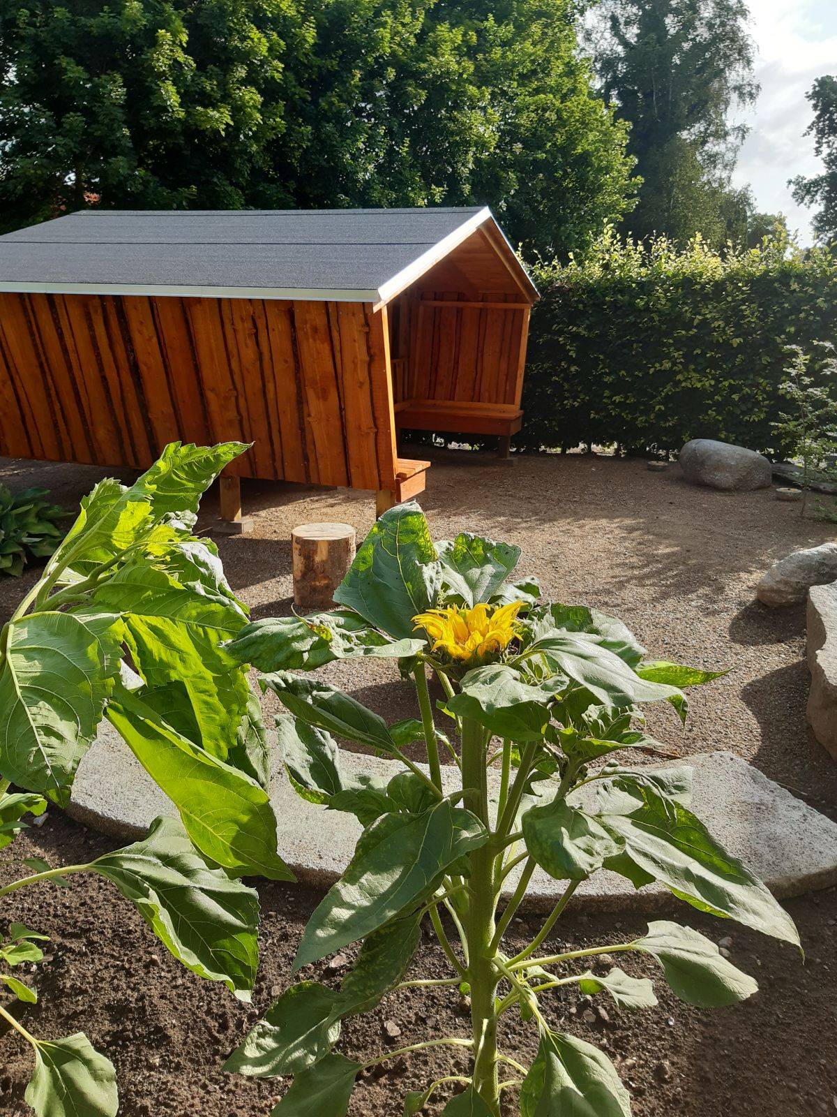 Billede af shelter Højagers shelter – billede 2
