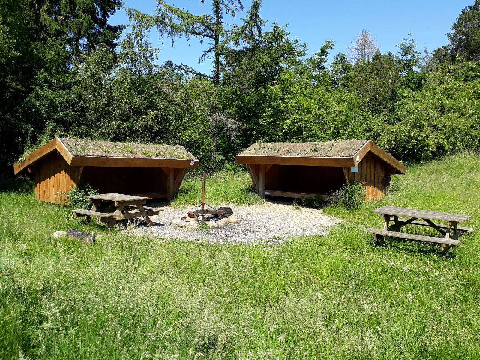 Billede af shelter Ilskov Shelterplads