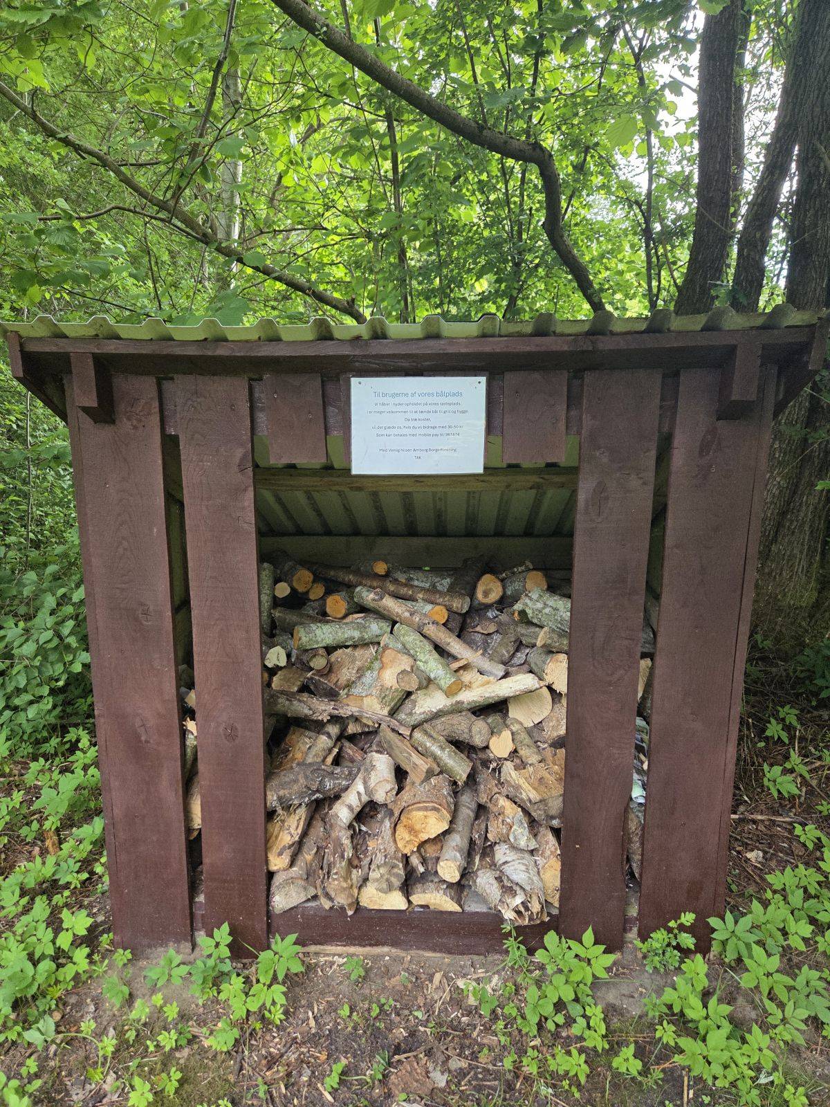 Billede af shelter Arnborg Shelterplads – billede 3