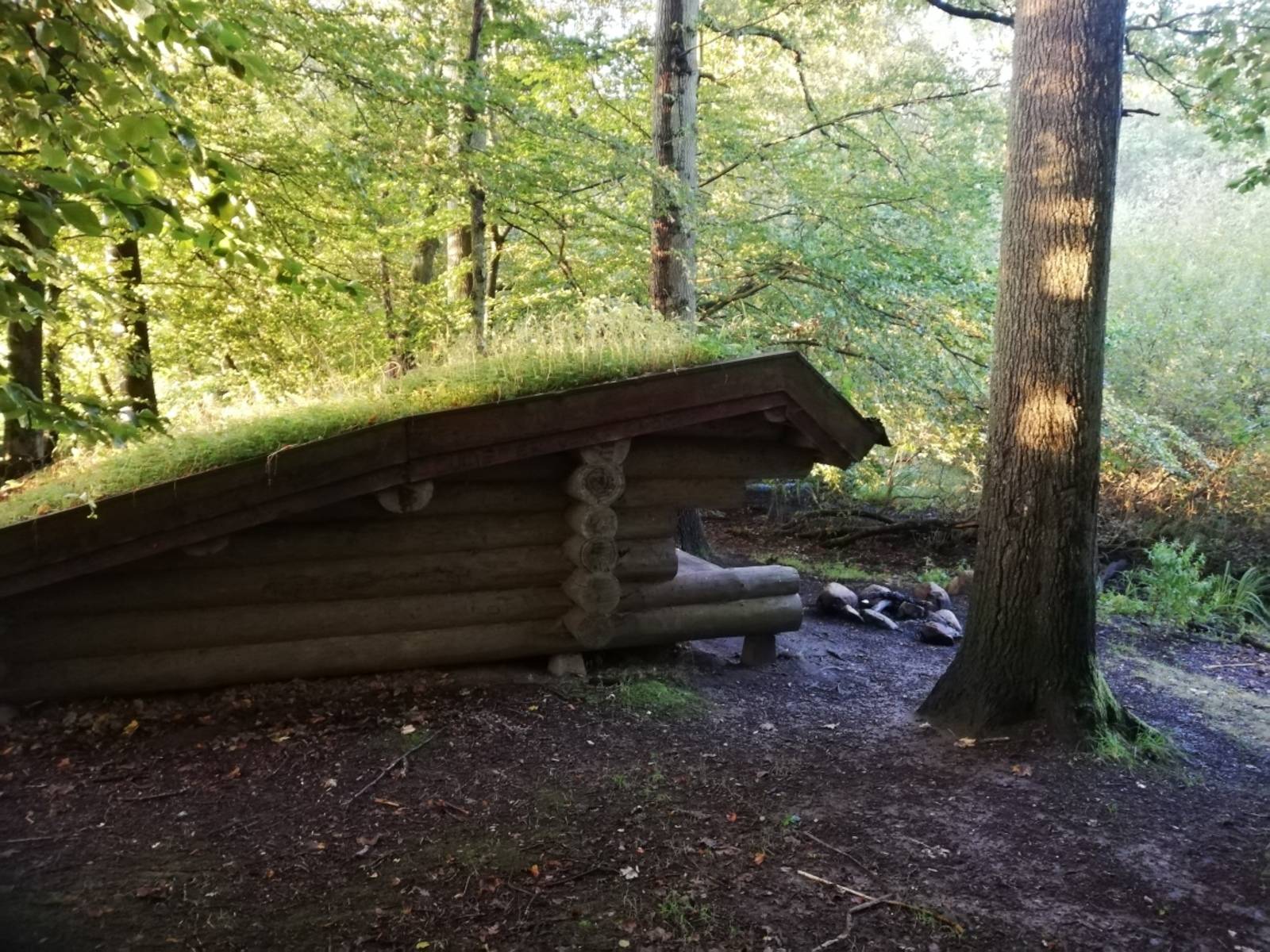 Billede af shelter Uggeløse Skov nord, shelter – billede 2
