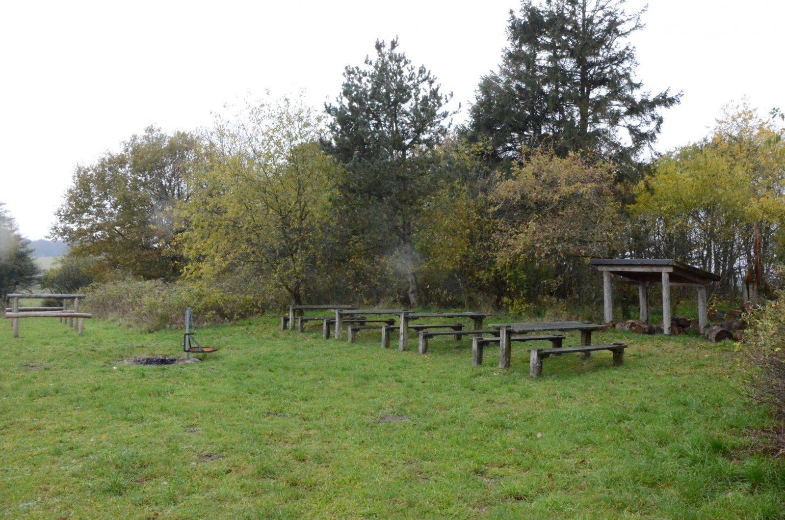 Billede af shelter Vinderup Skov shelterplads