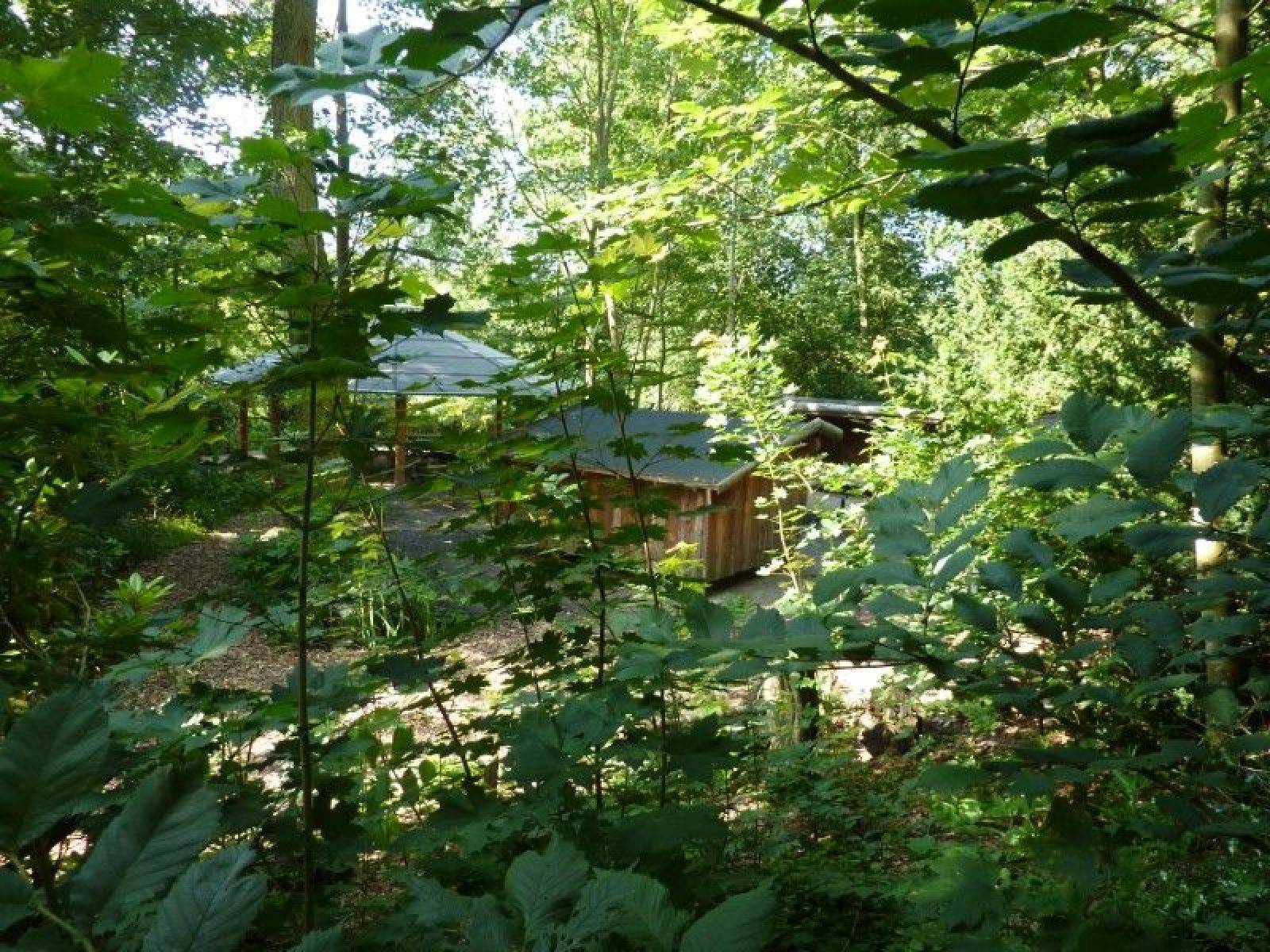 Billede af shelter Naturbase ved Rosenparken i Aalestrup