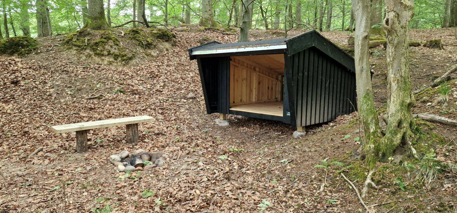 Billede af shelter Vipstjerten shelter – billede 2
