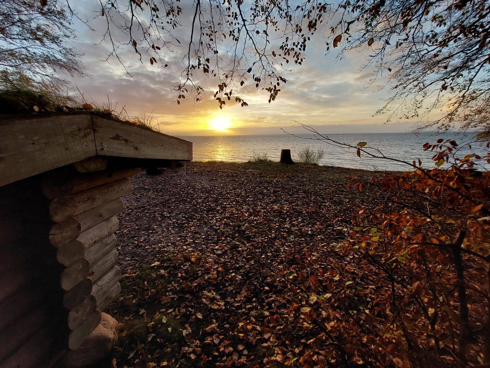 Billede af shelter Stenderup Sønderskov Shelter – billede 6
