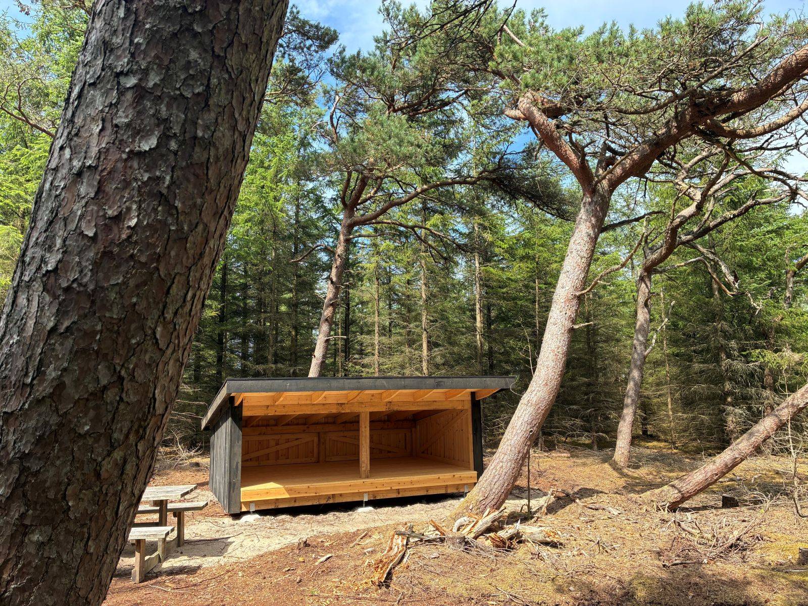 Billede af shelter Trøjborg