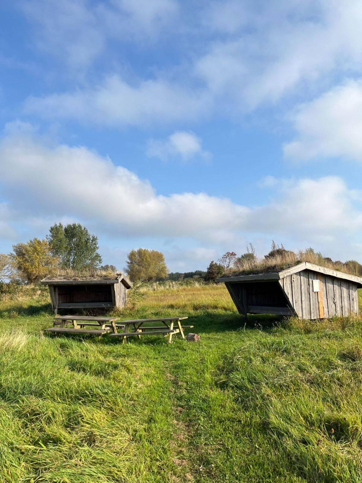 Billede af shelter Kleven