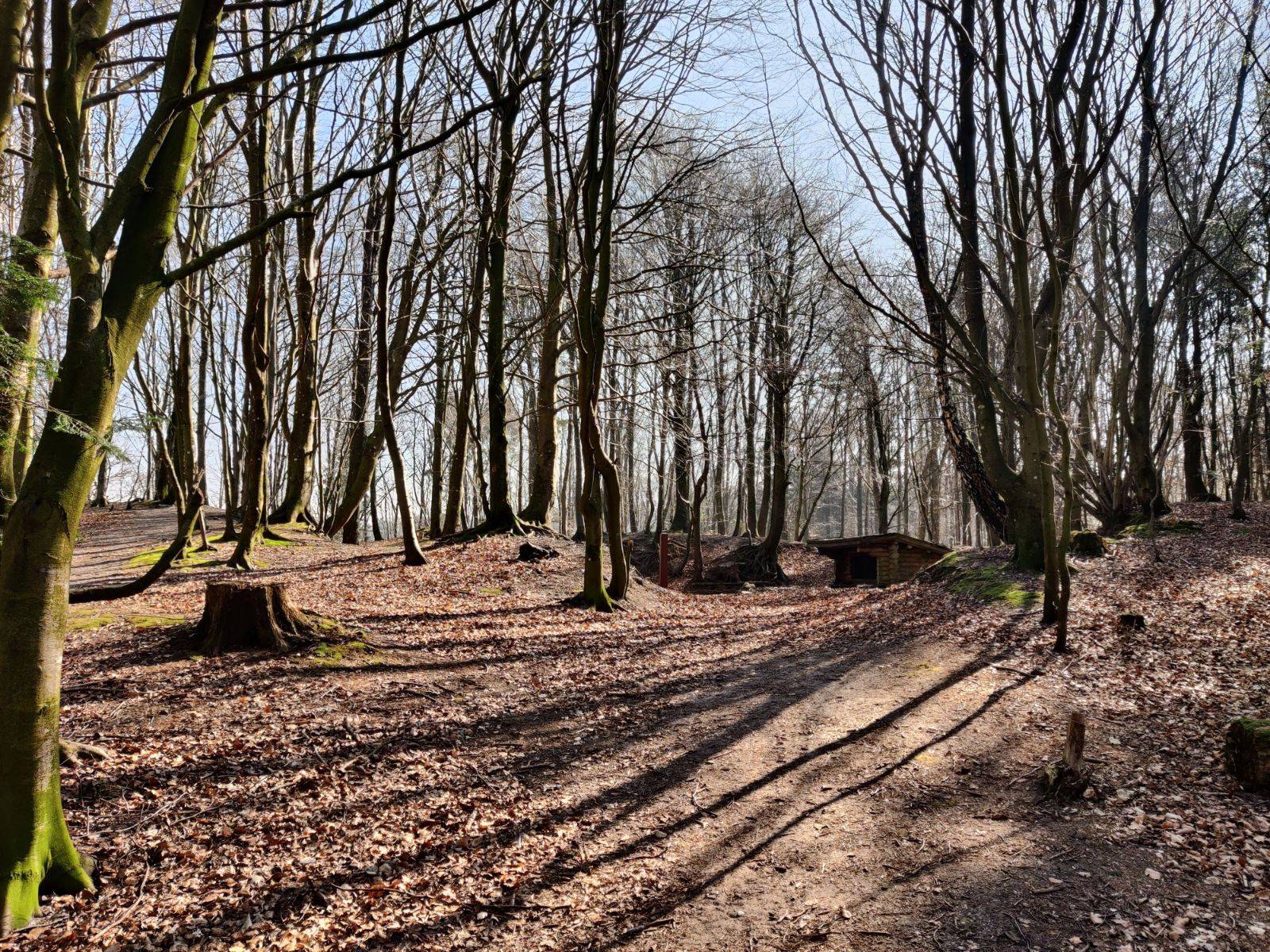 Billede af shelter Barsbøl Shelter