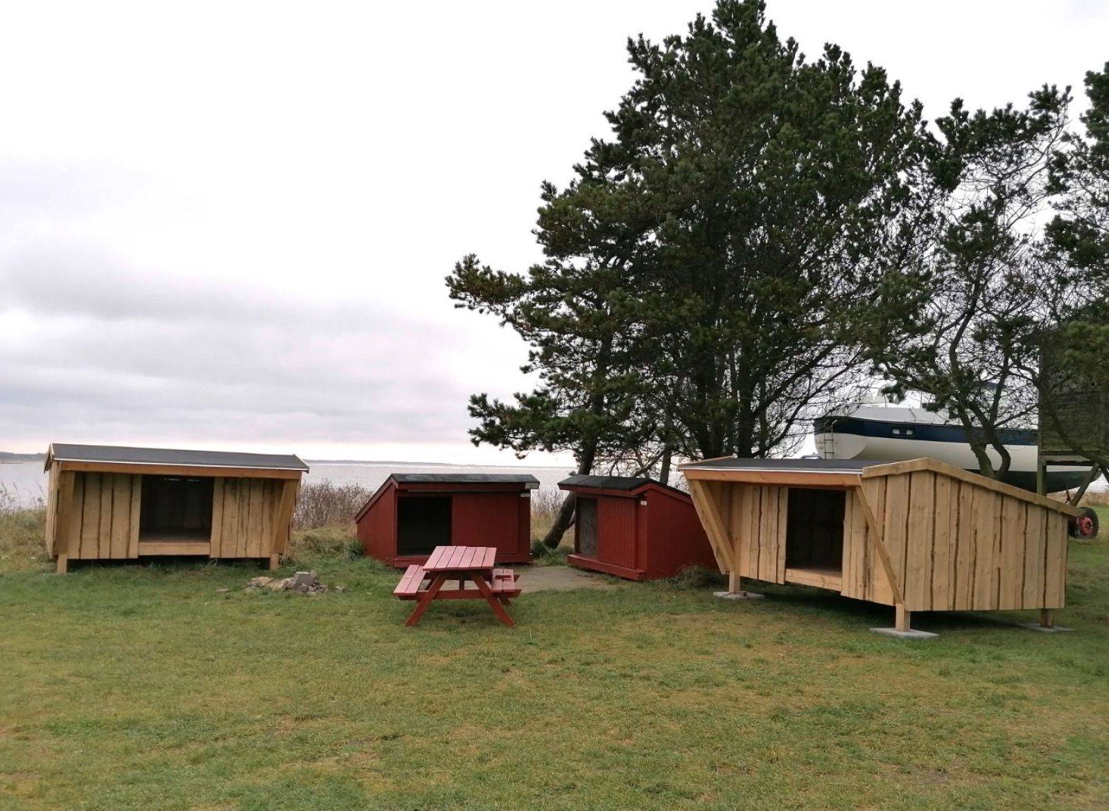 Billede af shelter Asaa Havn