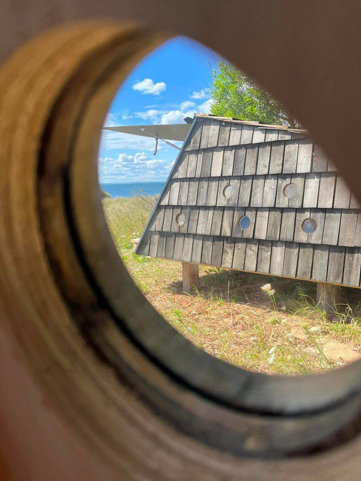 Billede af shelter To 2-mands shelter ved Bjørnø Vingård – billede 7