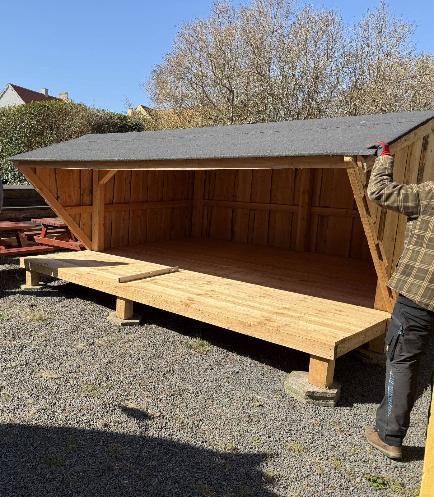 Billede af shelter Årsdale - shelterplads – billede 2