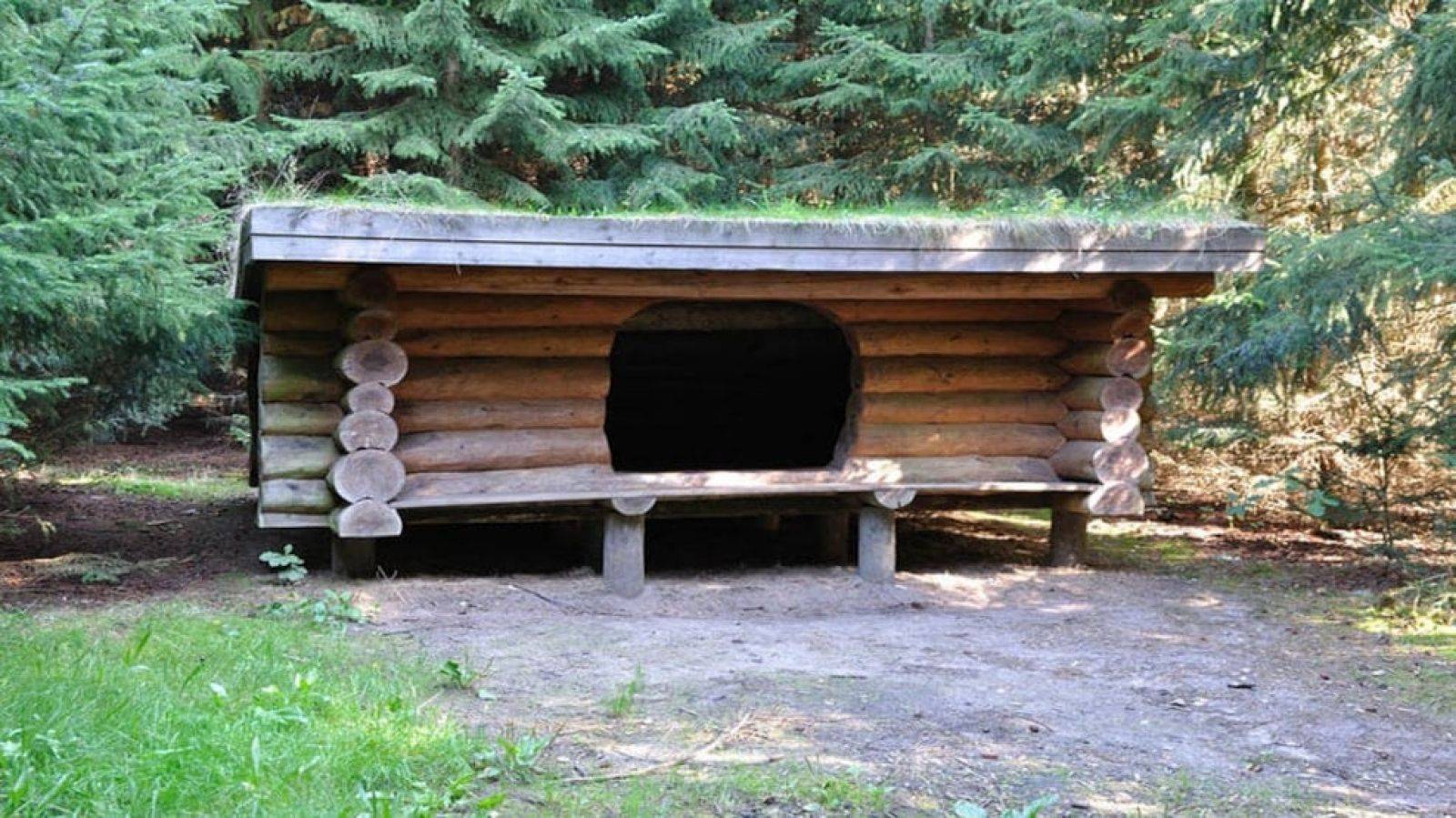 Billede af shelter Hummelmosens shelters