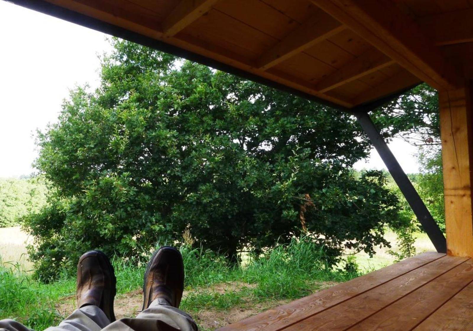 Billede af shelter Lejrplads Ørnbjerg Mølle - shelter nr. 1 (bookbar)
