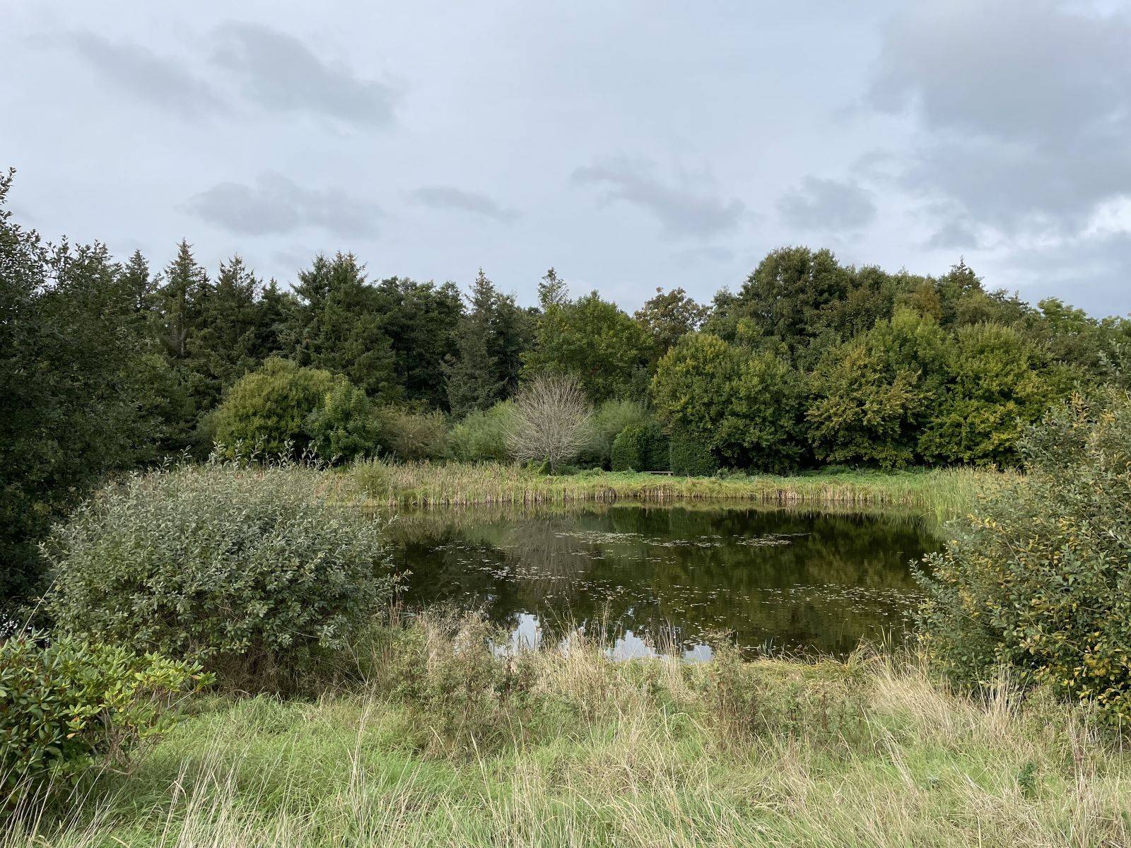 Billede af shelter Shelters ved Gjerrild Kro