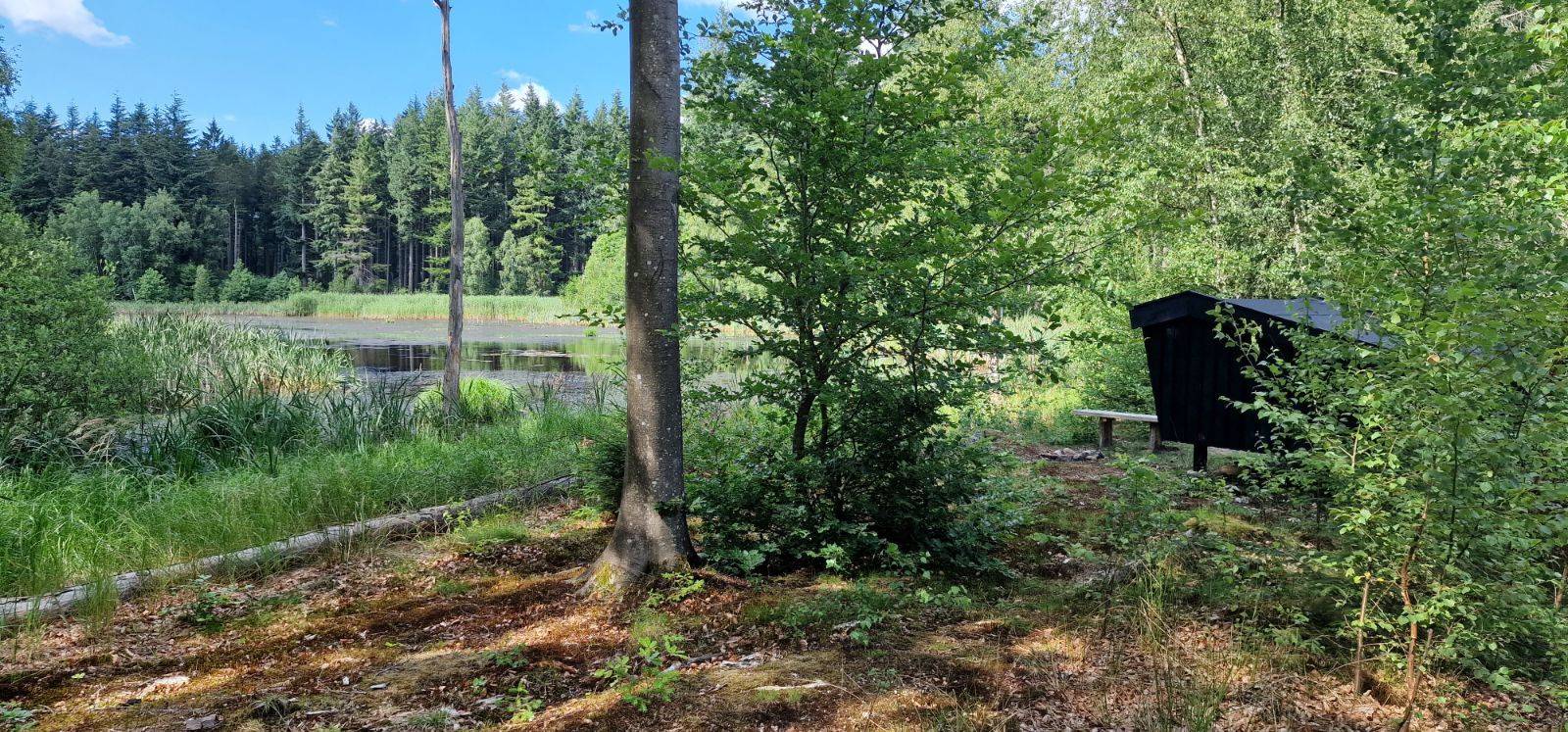 Billede af shelter Honningsvampen shelter