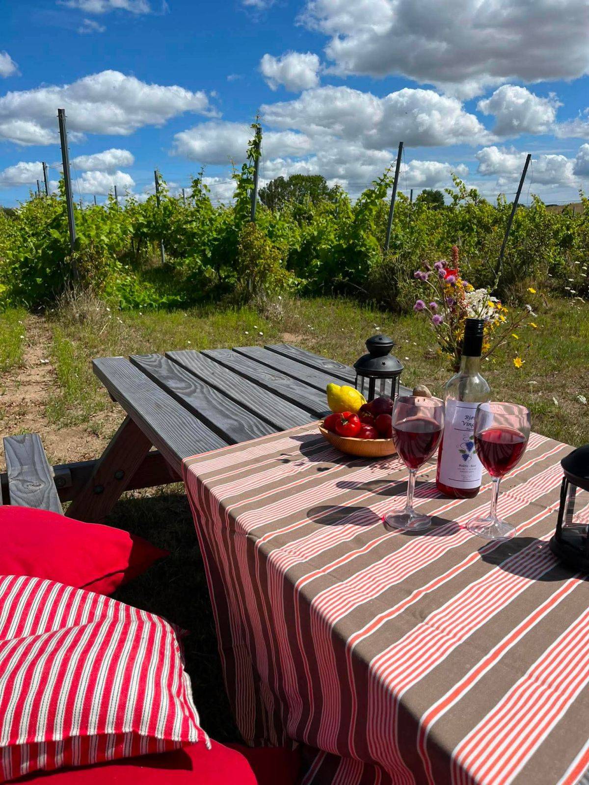 Billede af shelter To 2-mands shelter ved Bjørnø Vingård – billede 2