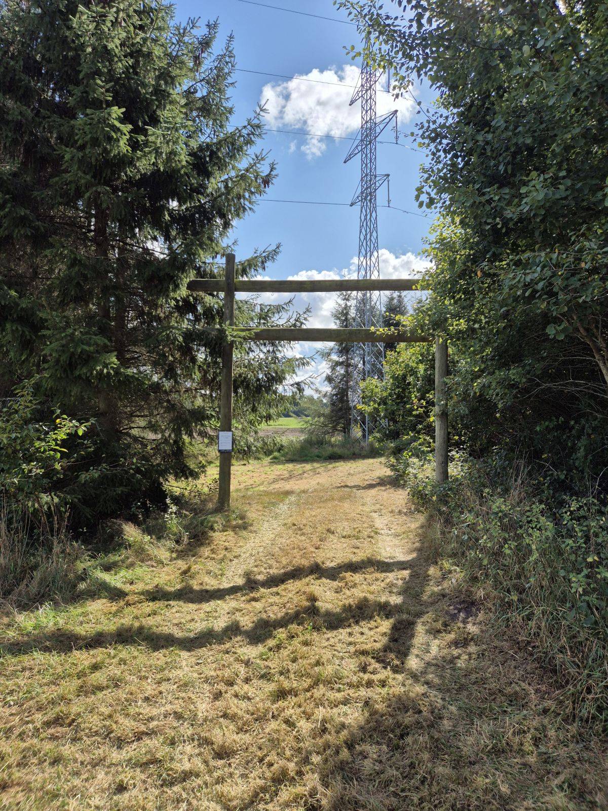 Billede af shelter Medkær shelterplads – billede 7