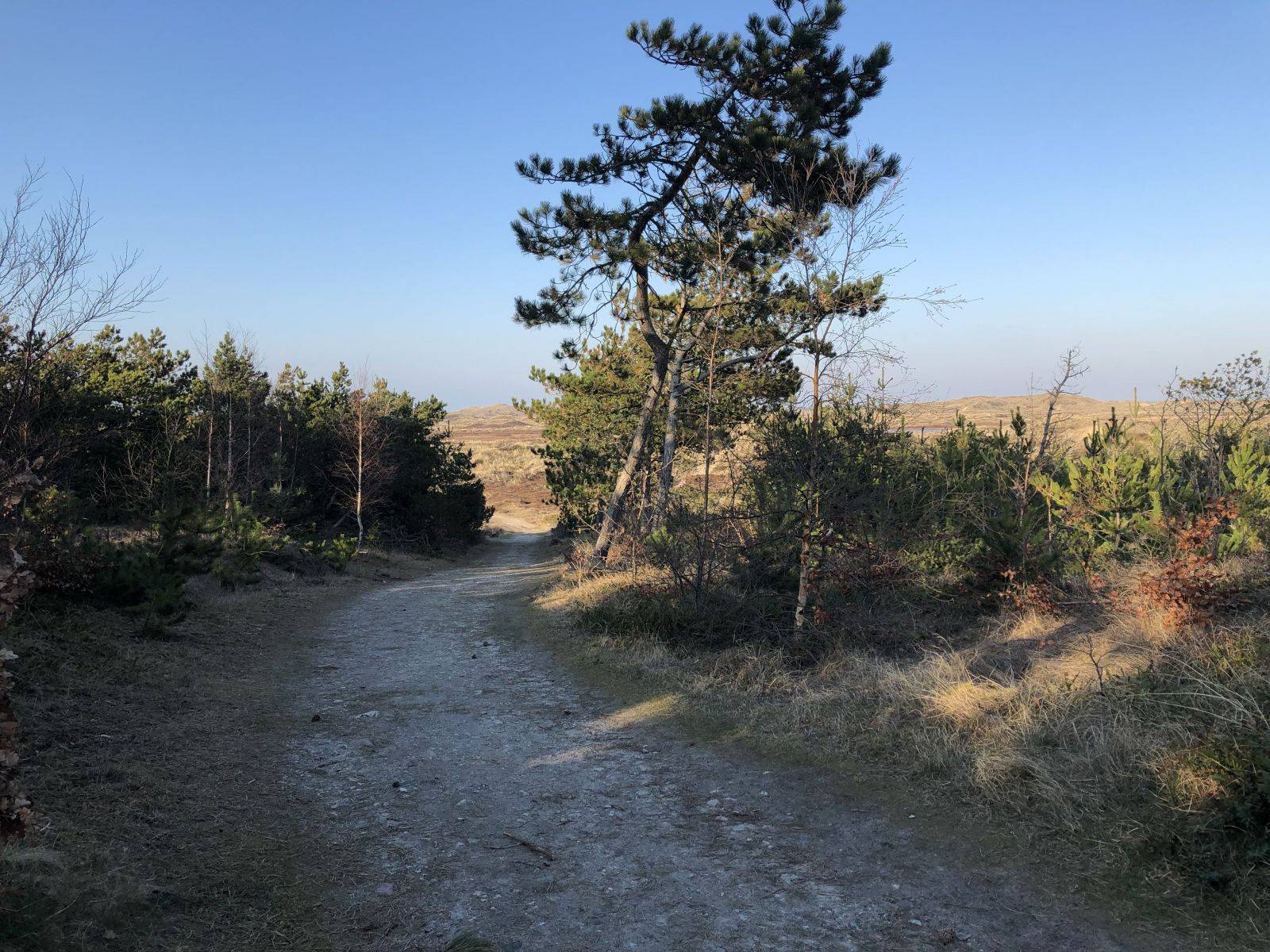 Billede af shelter Lodbjerg Handikapegnet shelter – billede 3