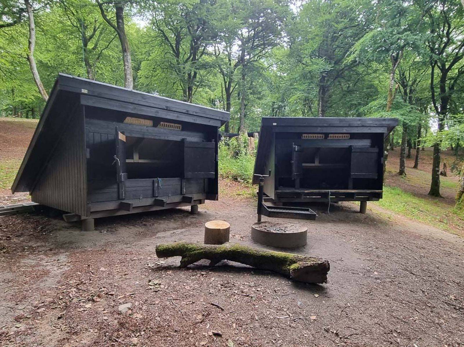 Billede af shelter Rold Skov, shelterplads ved Mosskovpavillonen - shelter nr. 2