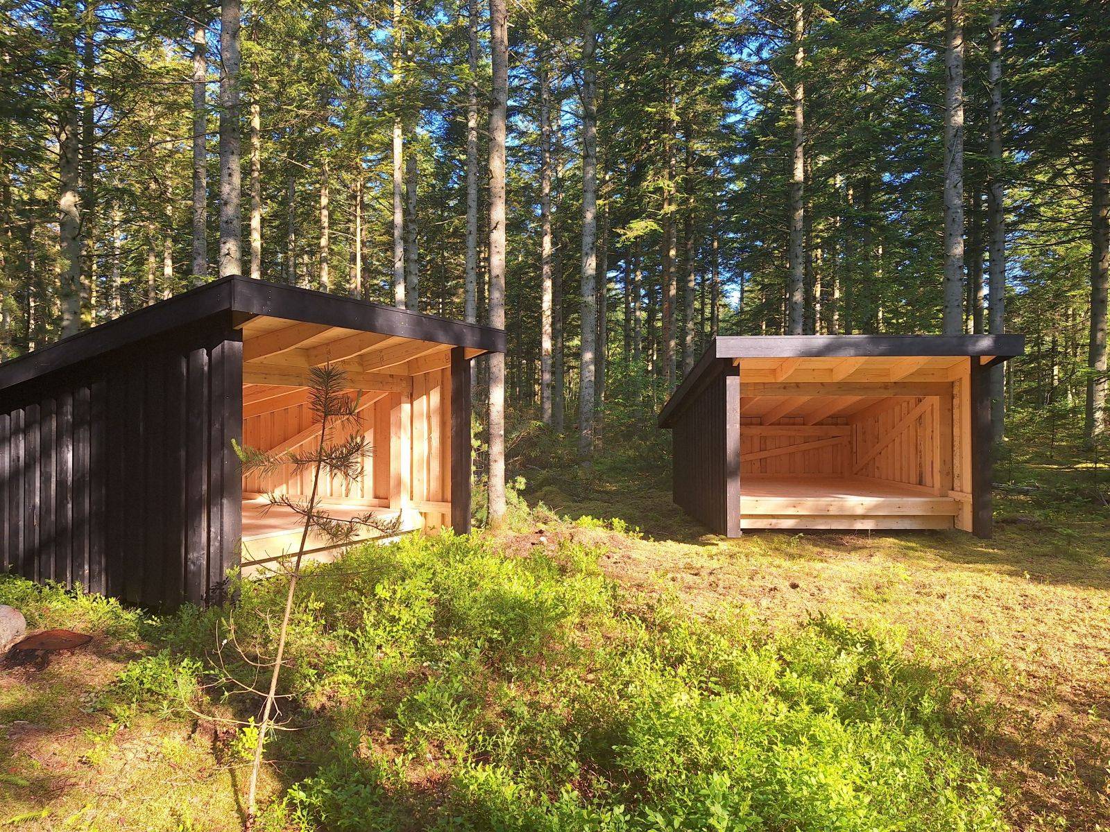 Billede af shelter Ålbæk Klitplantage - sheltere ved Skovsøen